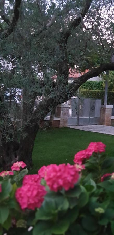 Apartments Cocaletto5 โรวีน ภายนอก รูปภาพ